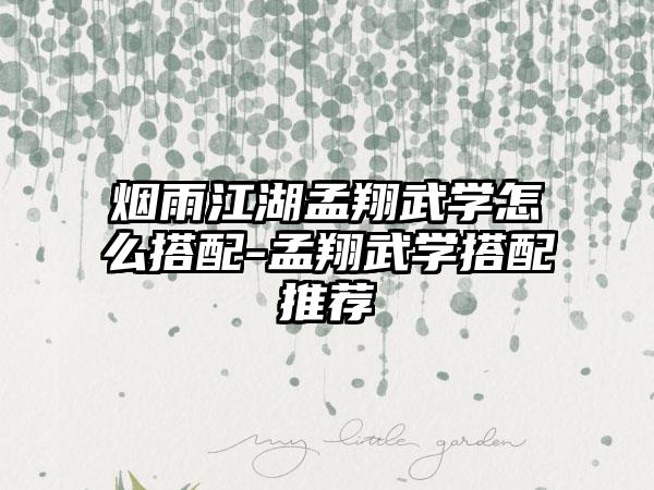 烟雨江湖孟翔武学怎么搭配-孟翔武学搭配推荐