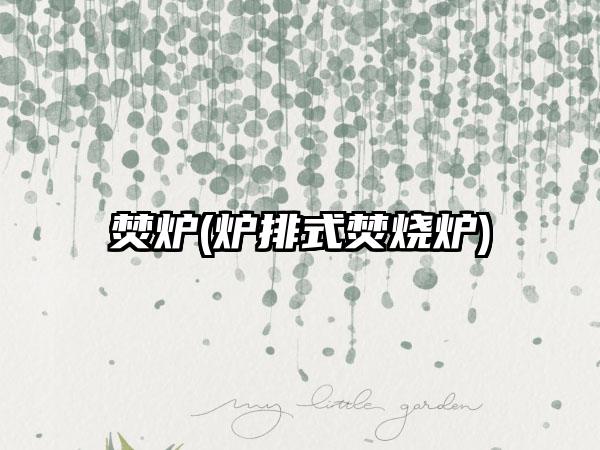 焚炉(炉排式焚烧炉)