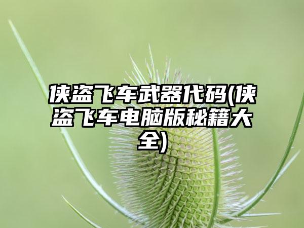 侠盗飞车武器代码(侠盗飞车电脑版秘籍大全)