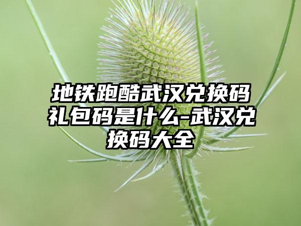 地铁跑酷武汉兑换码礼包码是什么-武汉兑换码大全
