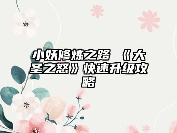 小妖修炼之路 《大圣之怒》快速升级攻略