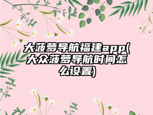 大菠萝导航福建app(大众菠萝导航时间怎么设置)