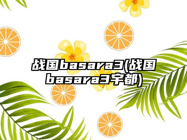 战国basara3(战国basara3宇都)