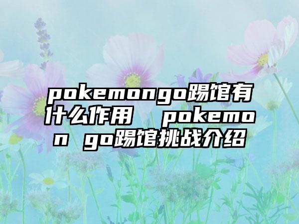 pokemongo踢馆有什么作用  pokemon go踢馆挑战介绍