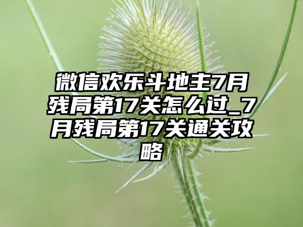 微信欢乐斗地主7月残局第17关怎么过_7月残局第17关通关攻略