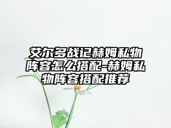 艾尔多战记赫姆私物阵容怎么搭配-赫姆私物阵容搭配推荐