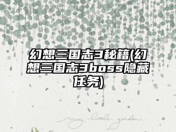 幻想三国志3秘籍(幻想三国志3boss隐藏任务)