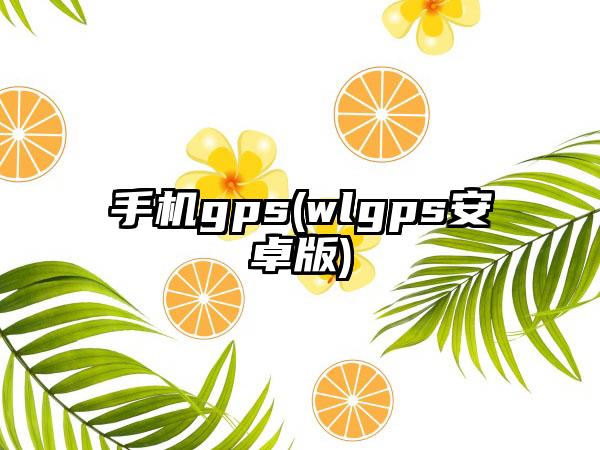 手机gps(wlgps安卓版)