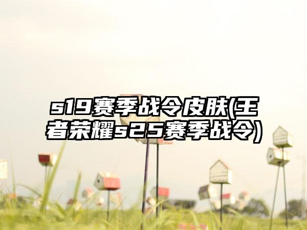 s19赛季战令皮肤(王者荣耀s25赛季战令)