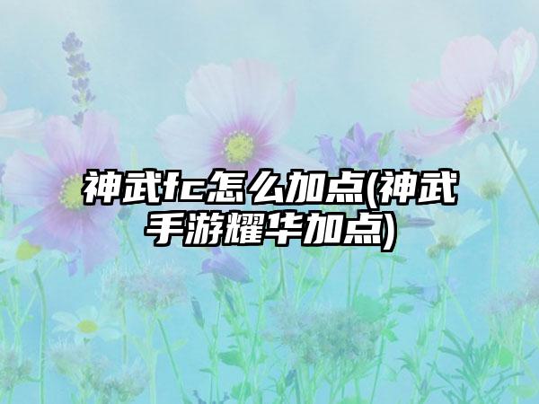 神武fc怎么加点(神武手游耀华加点)