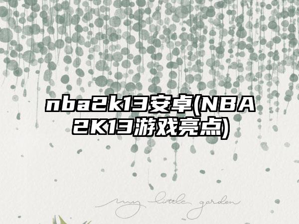 nba2k13安卓(NBA2K13游戏亮点)