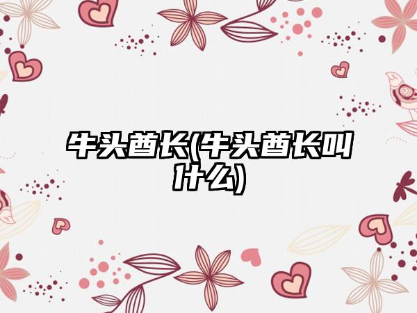 牛头酋长(牛头酋长叫什么)