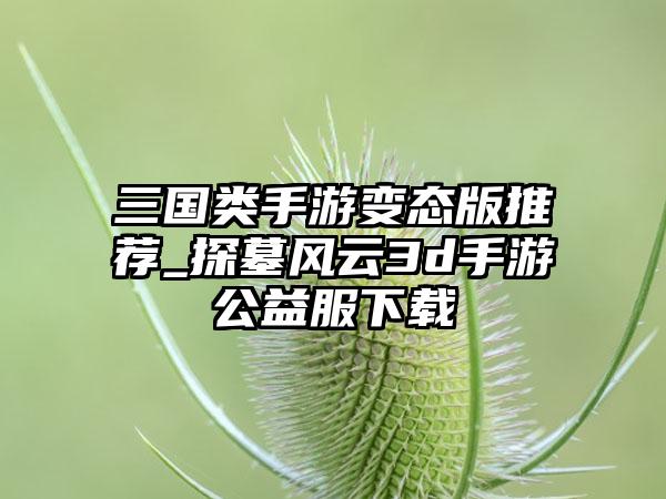 三国类手游变态版推荐_探墓风云3d手游公益服下载