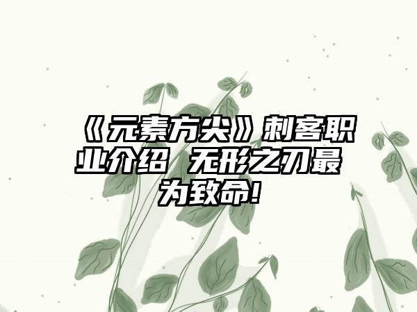 《元素方尖》刺客职业介绍 无形之刃最为致命!