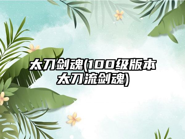 太刀剑魂(100级版本太刀流剑魂)