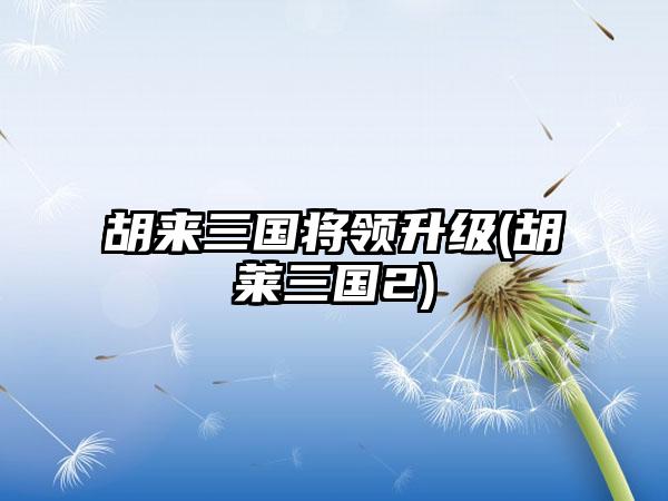 胡来三国将领升级(胡莱三国2)