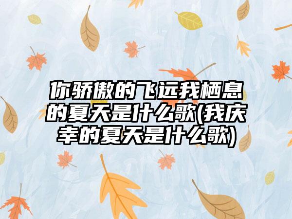你骄傲的飞远我栖息的夏天是什么歌(我庆幸的夏天是什么歌)