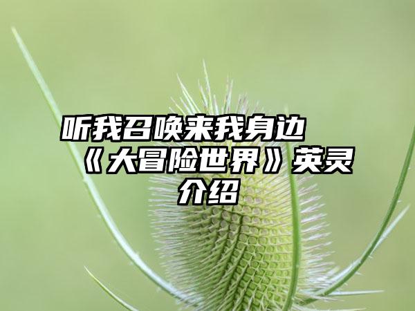 听我召唤来我身边 《大冒险世界》英灵介绍