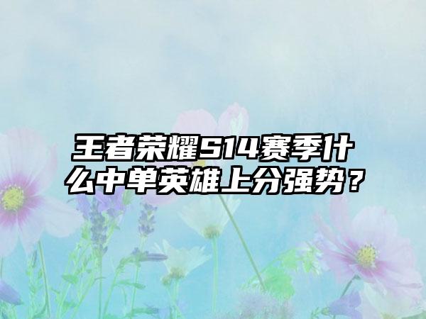 王者荣耀S14赛季什么中单英雄上分强势？