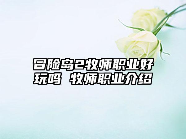 冒险岛2牧师职业好玩吗 牧师职业介绍