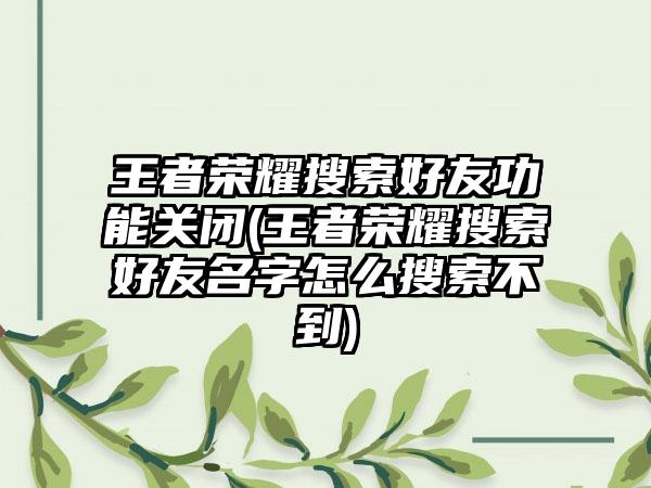 王者荣耀搜索好友功能关闭(王者荣耀搜索好友名字怎么搜索不到)