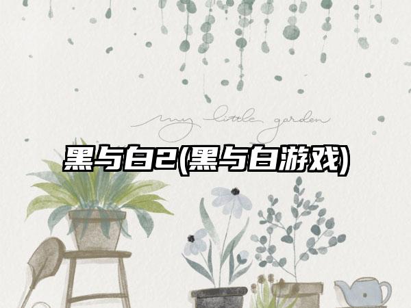 黑与白2(黑与白游戏)