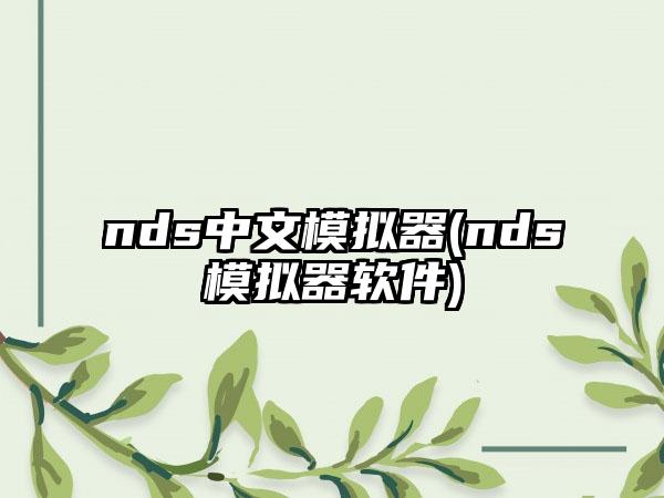 nds中文模拟器(nds模拟器软件)