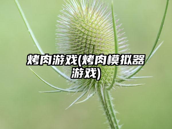 烤肉游戏(烤肉模拟器游戏)