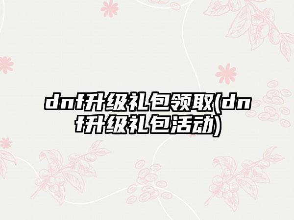 dnf升级礼包领取(dnf升级礼包活动)