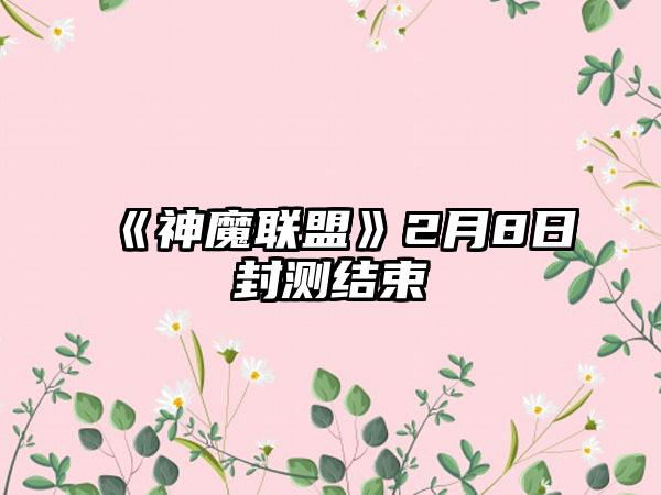 《神魔联盟》2月8日封测结束