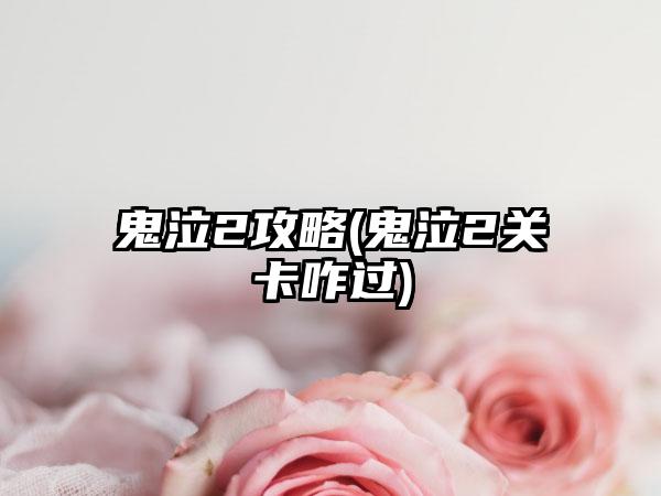 鬼泣2攻略(鬼泣2关卡咋过)