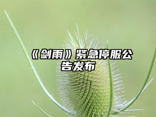 《剑雨》紧急停服公告发布