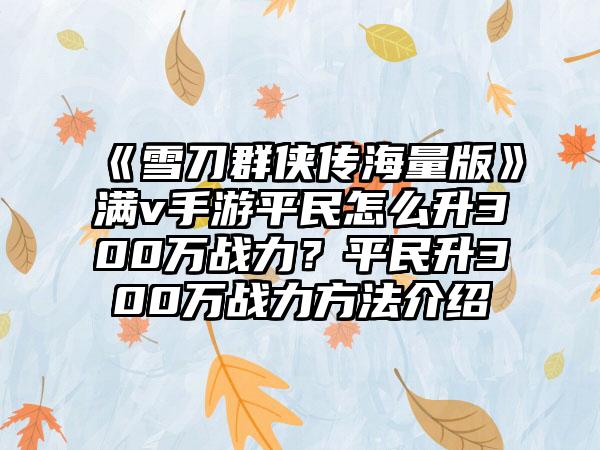 《雪刀群侠传海量版》满v手游平民怎么升300万战力？平民升300万战力方法介绍