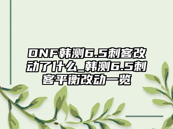 DNF韩测6.5刺客改动了什么_韩测6.5刺客平衡改动一览