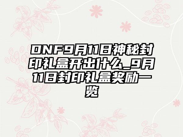 DNF9月11日神秘封印礼盒开出什么_9月11日封印礼盒奖励一览