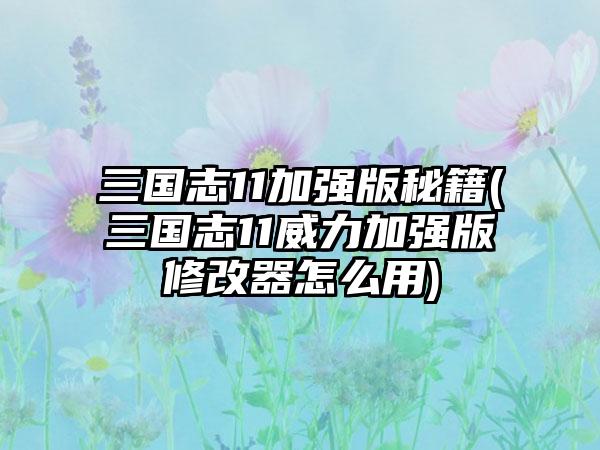 三国志11加强版秘籍(三国志11威力加强版修改器怎么用)