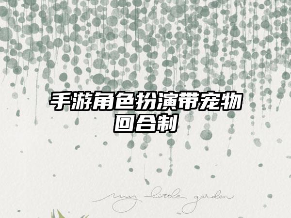 手游角色扮演带宠物回合制