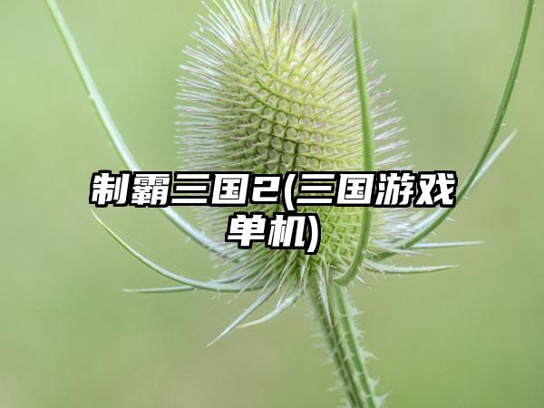 制霸三国2(三国游戏单机)
