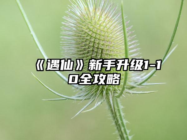 《遇仙》新手升级1-10全攻略