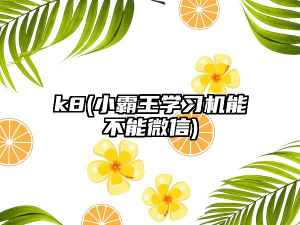 k8(小霸王学习机能不能微信)