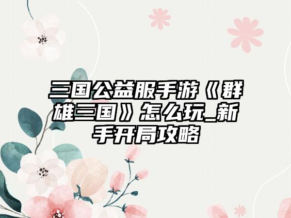 三国公益服手游《群雄三国》怎么玩_新手开局攻略