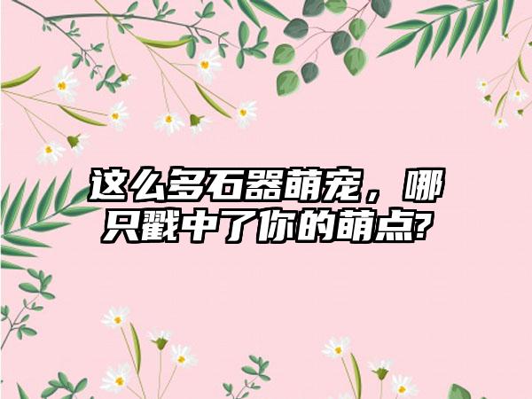 这么多石器萌宠，哪只戳中了你的萌点?