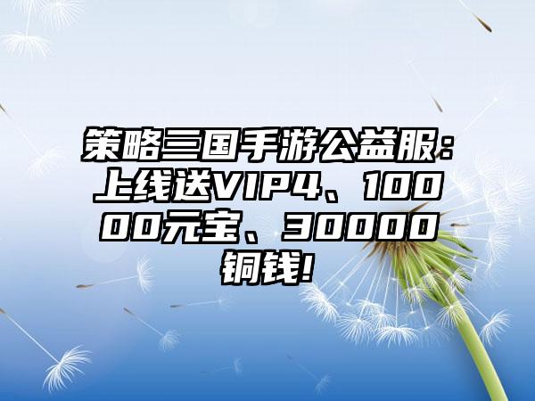 策略三国手游公益服：上线送VIP4、10000元宝、30000铜钱!