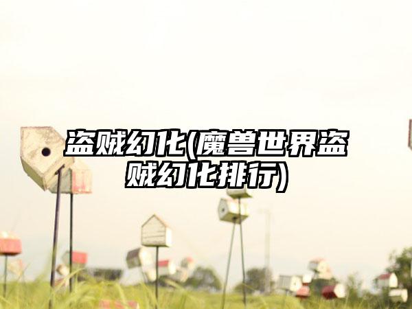 盗贼幻化(魔兽世界盗贼幻化排行)