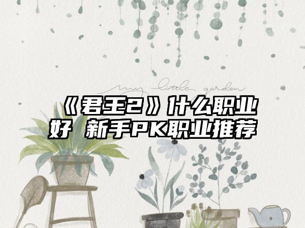 《君王2》什么职业好 新手PK职业推荐