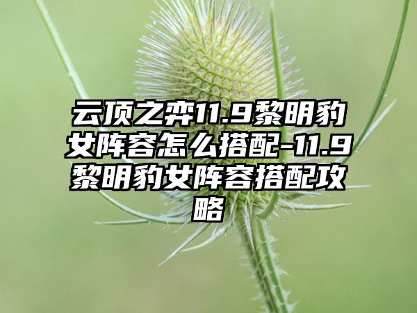云顶之弈11.9黎明豹女阵容怎么搭配-11.9黎明豹女阵容搭配攻略