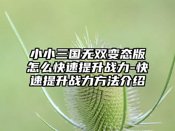 小小三国无双变态版怎么快速提升战力-快速提升战力方法介绍