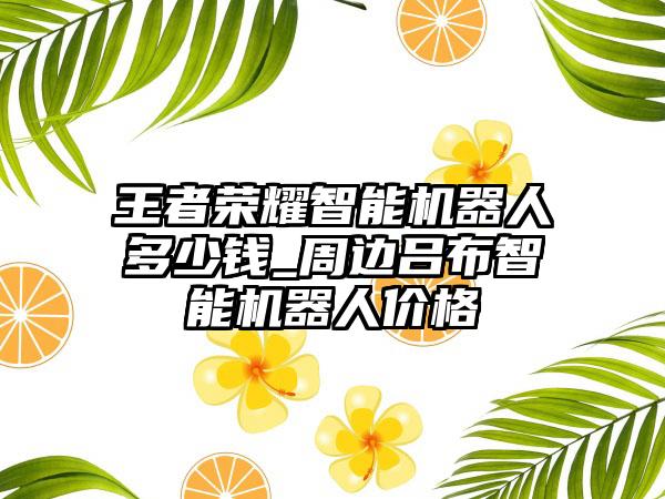 王者荣耀智能机器人多少钱_周边吕布智能机器人价格