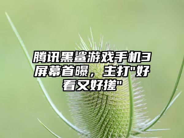 腾讯黑鲨游戏手机3屏幕首曝，主打