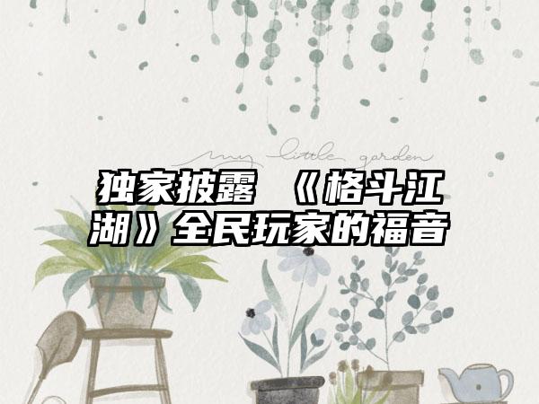 独家披露 《格斗江湖》全民玩家的福音